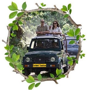Website of Online Corbett Safari Booking