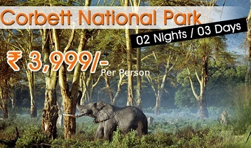 Jim Corbett National Park Packages